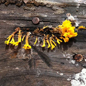 Digital Media Can Be Printed Any Size